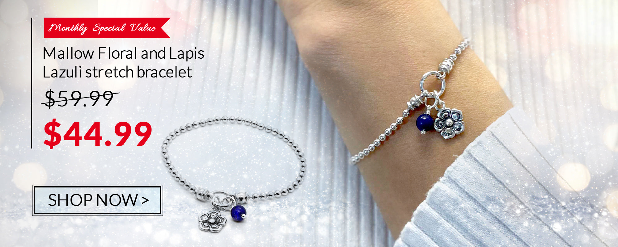 Spring is in the air! Our Monthly Special Value